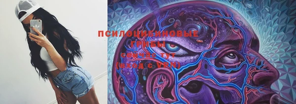 прущие грибы Баксан
